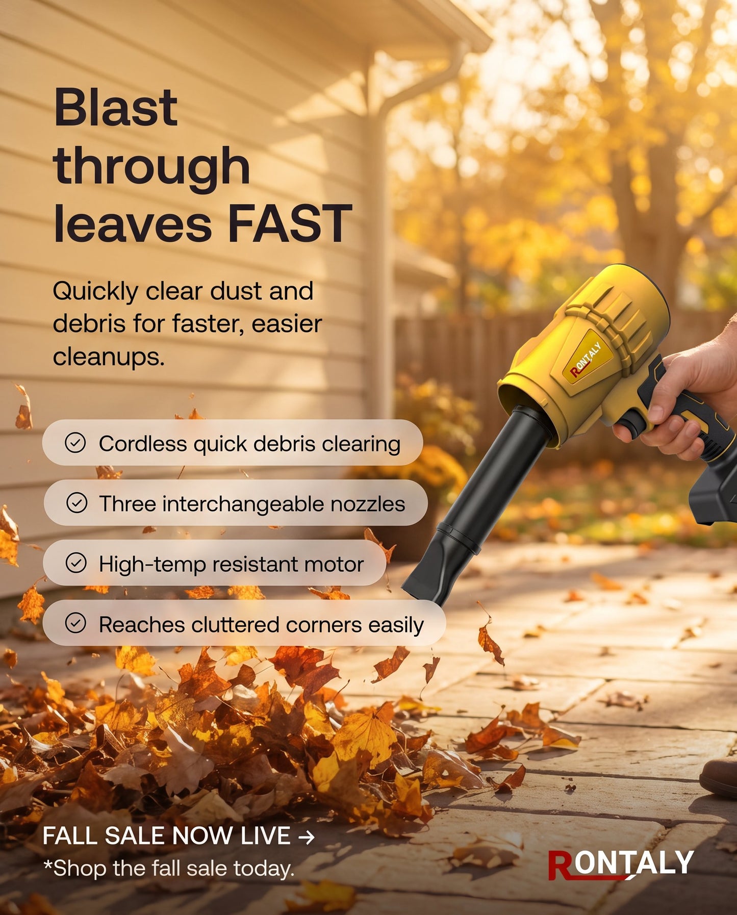 ProPower Cordless Blower